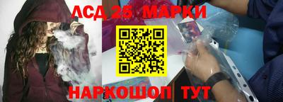 a pvp Бердск