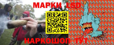 a pvp Бердск