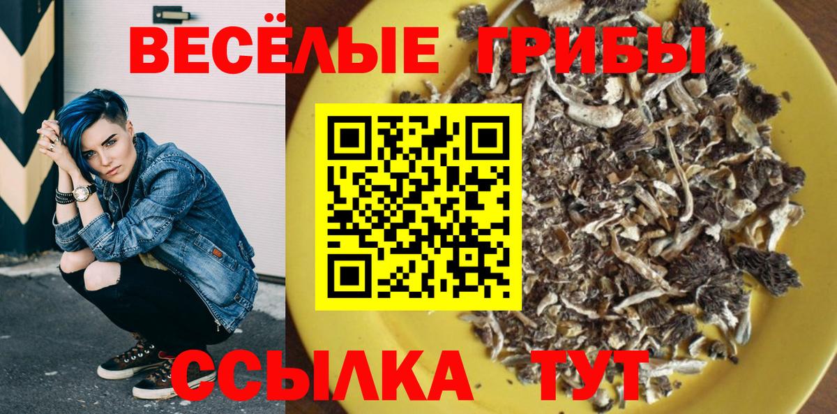 Анжеро-Судженск  Галлюциногенные грибы Magic Shrooms  Галлюциногенные грибы MAGIC MUSHROOMS  Вход с VPN 